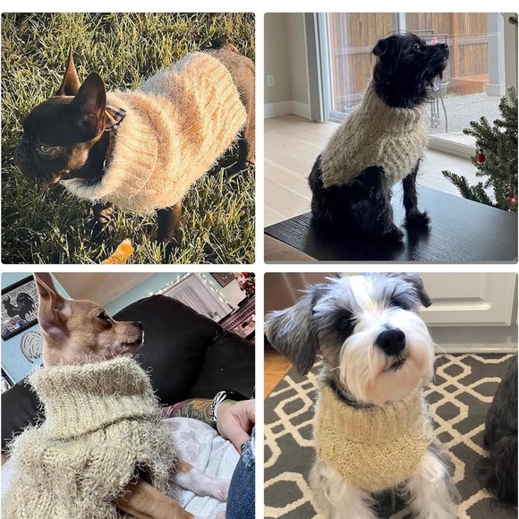 Cyeollo Cozy Cream Dog Sweater - Picture 5 of 6